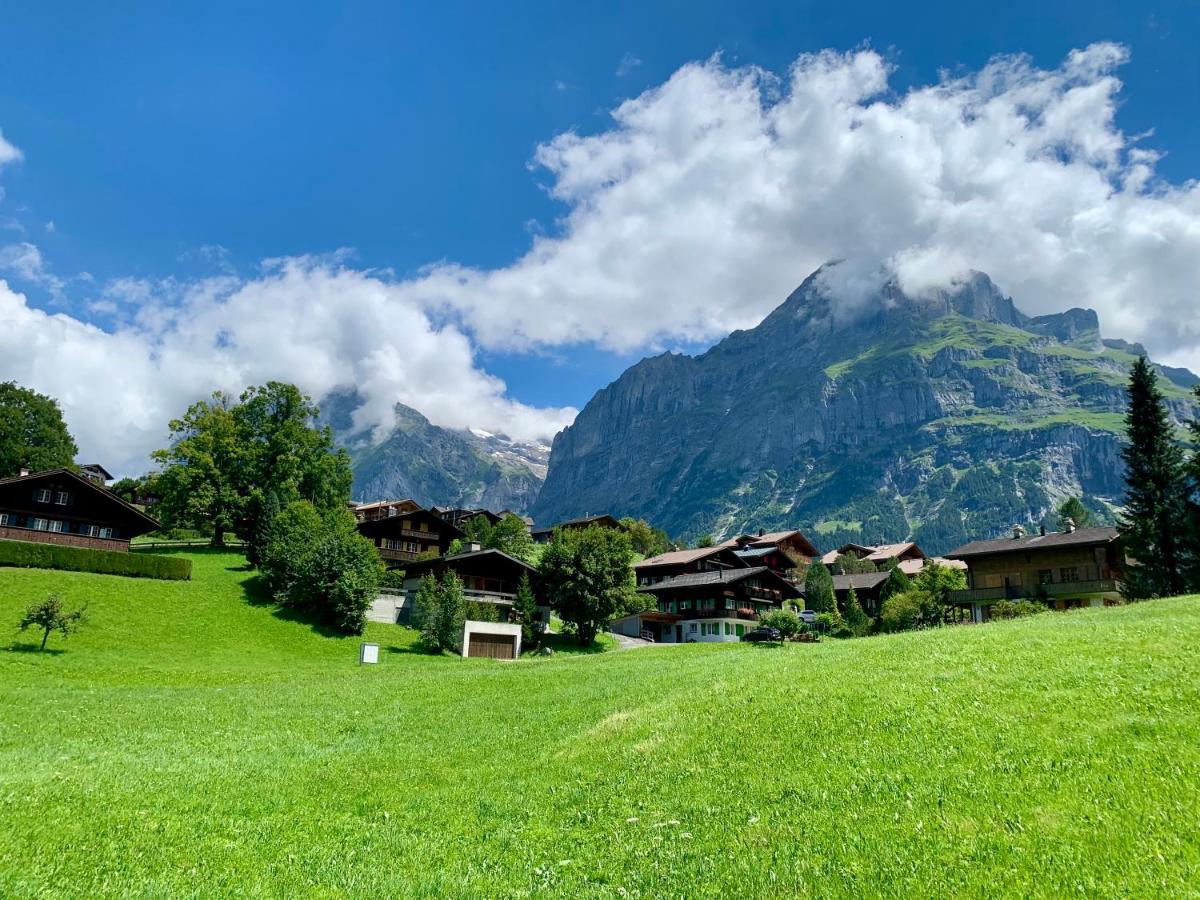 Brand New, 5min to Ski PARADISE ! - Housity