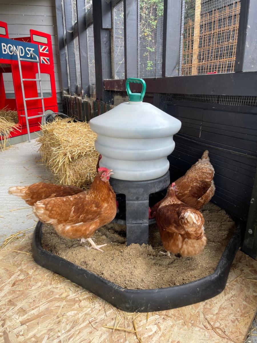 Willow Court Farm The Lodge & Petting Farm, 8 mins from Legoland & Windsor, 15 mins from Lapland UK - Housity