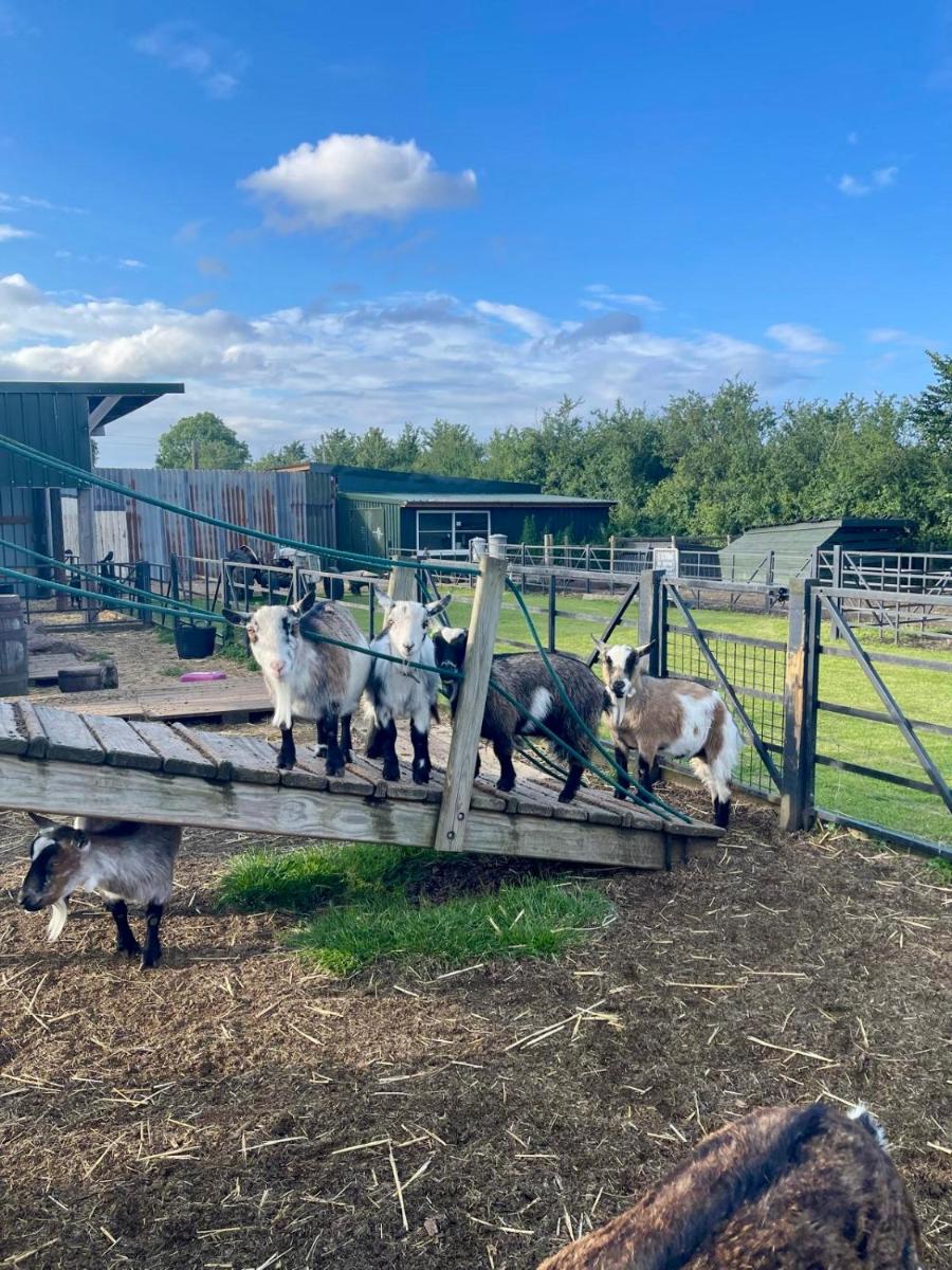 Willow Court Farm Studio East & Petting Farm, 8 mins to Legoland & Windsor, 15 mins to Lapland UK - Hizvo
