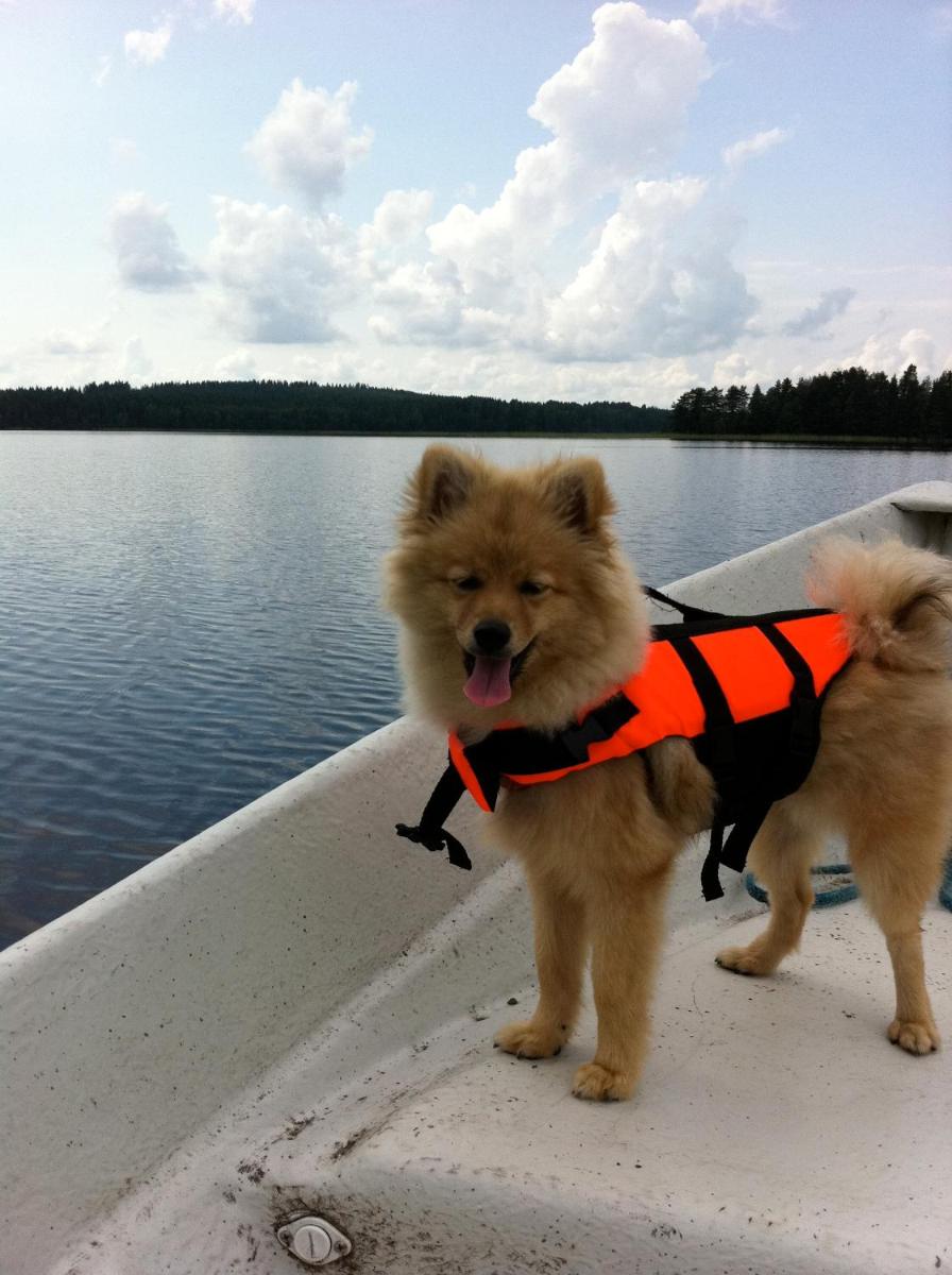 Lomavasara casa vacanza al lago in Finlandia - Housity