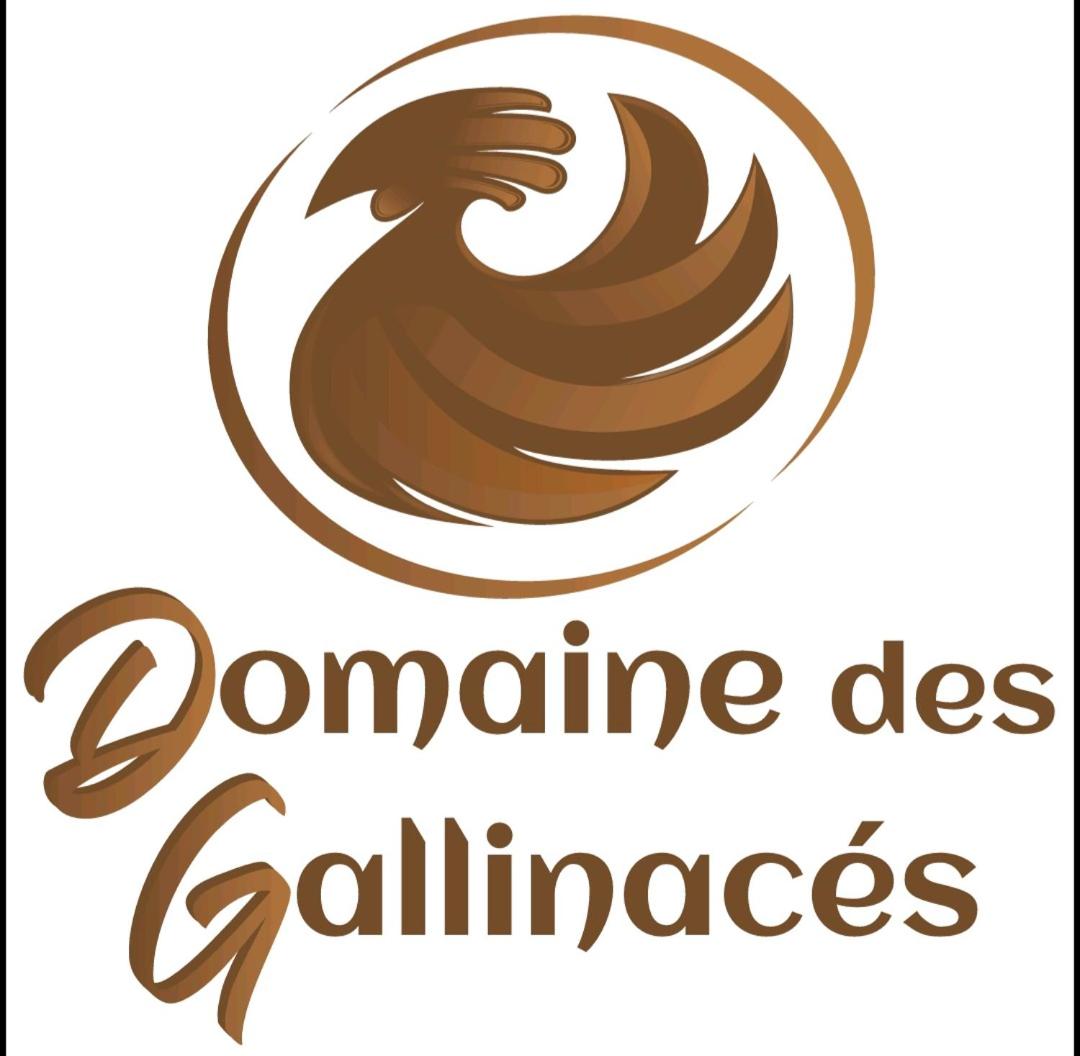 DOMAINE DES GALLINACES CHALET SUSSEX 2-4p - Housity