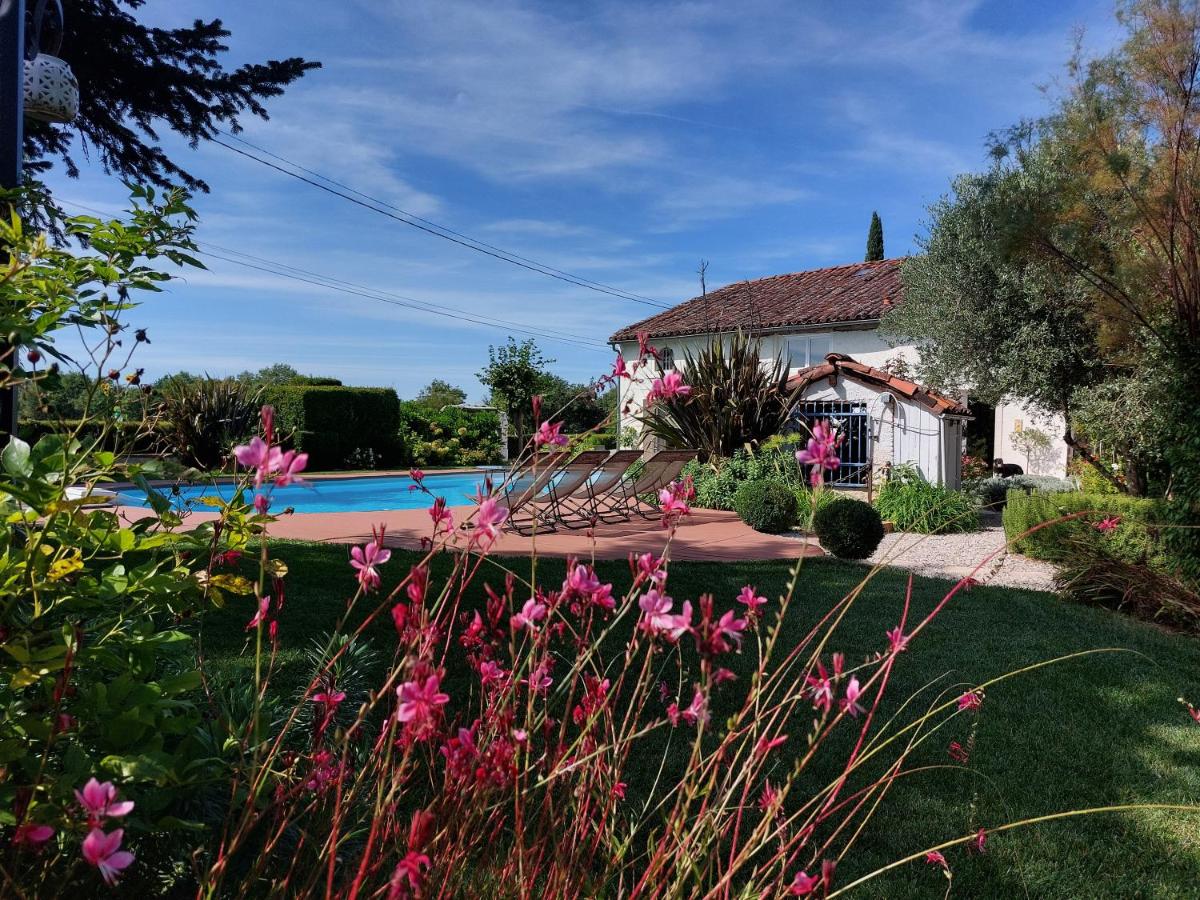 Le Clos de Saint Amour - Housity