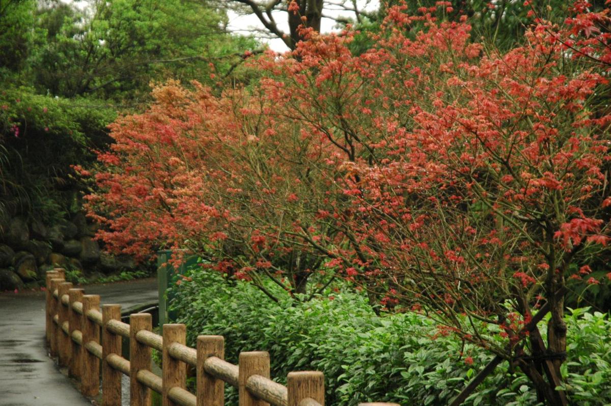 Rainbow Bridge B&B - Housity