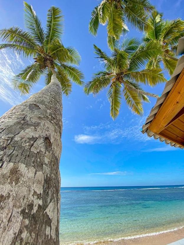 Beach Front Condo! - Housity