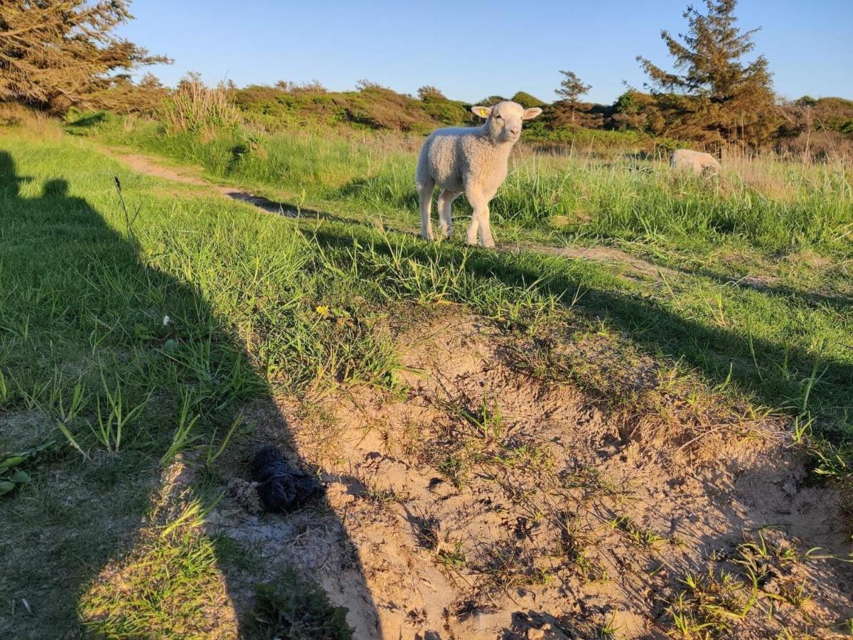 6 person holiday home in Hj rring - Housity