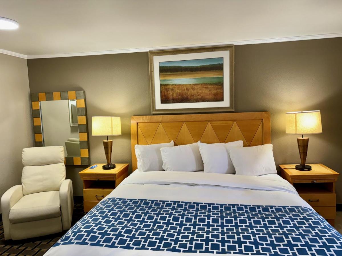Mount Royal Inn - Housity