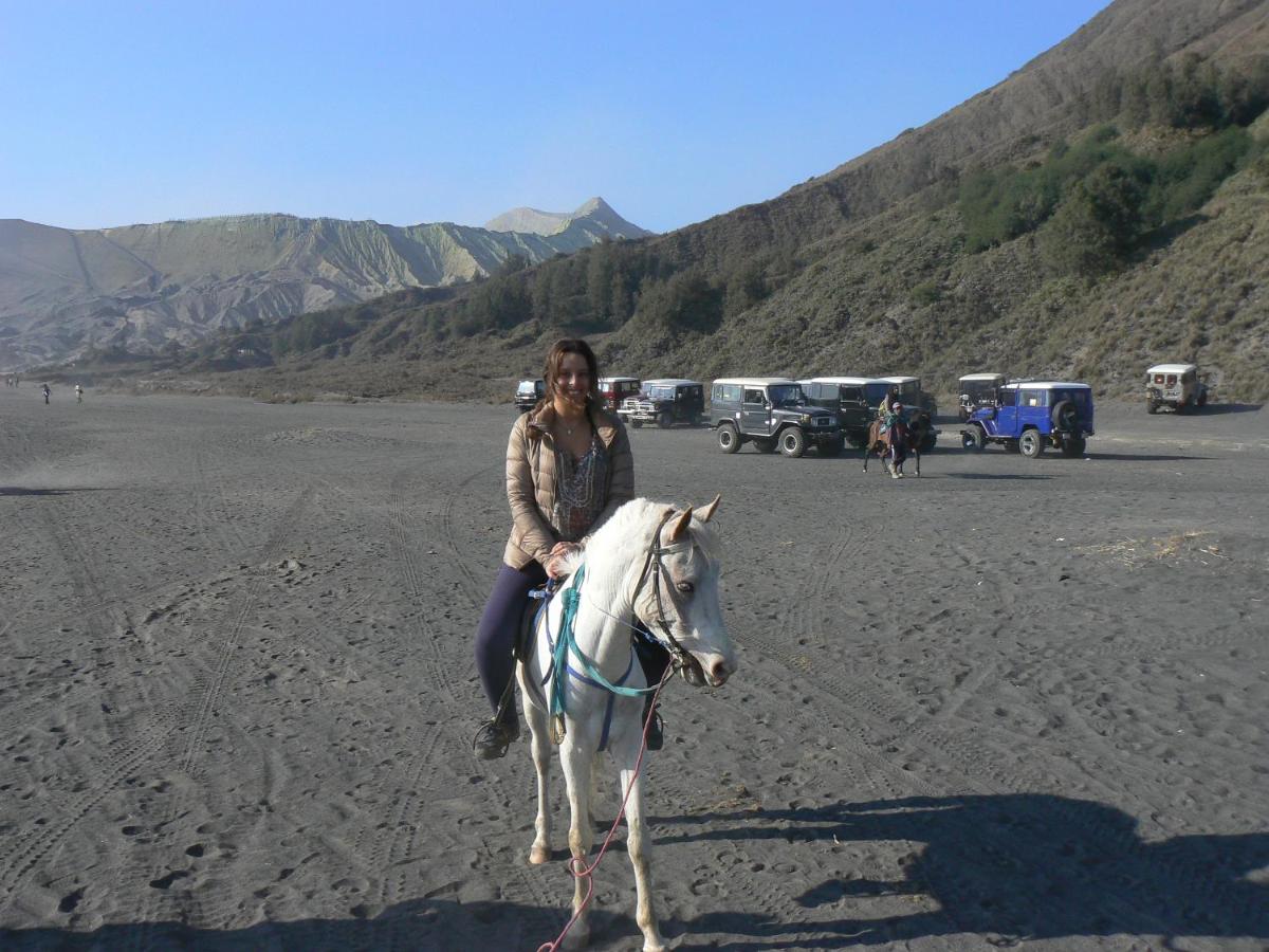 Ijen Adventure Inn - Housity
