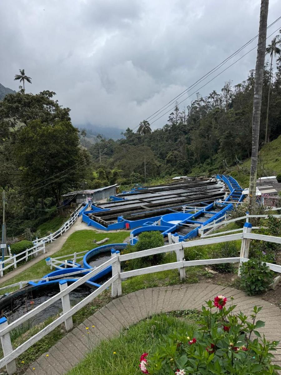 Cabañas Valle del Cocora La Truchera - Housity