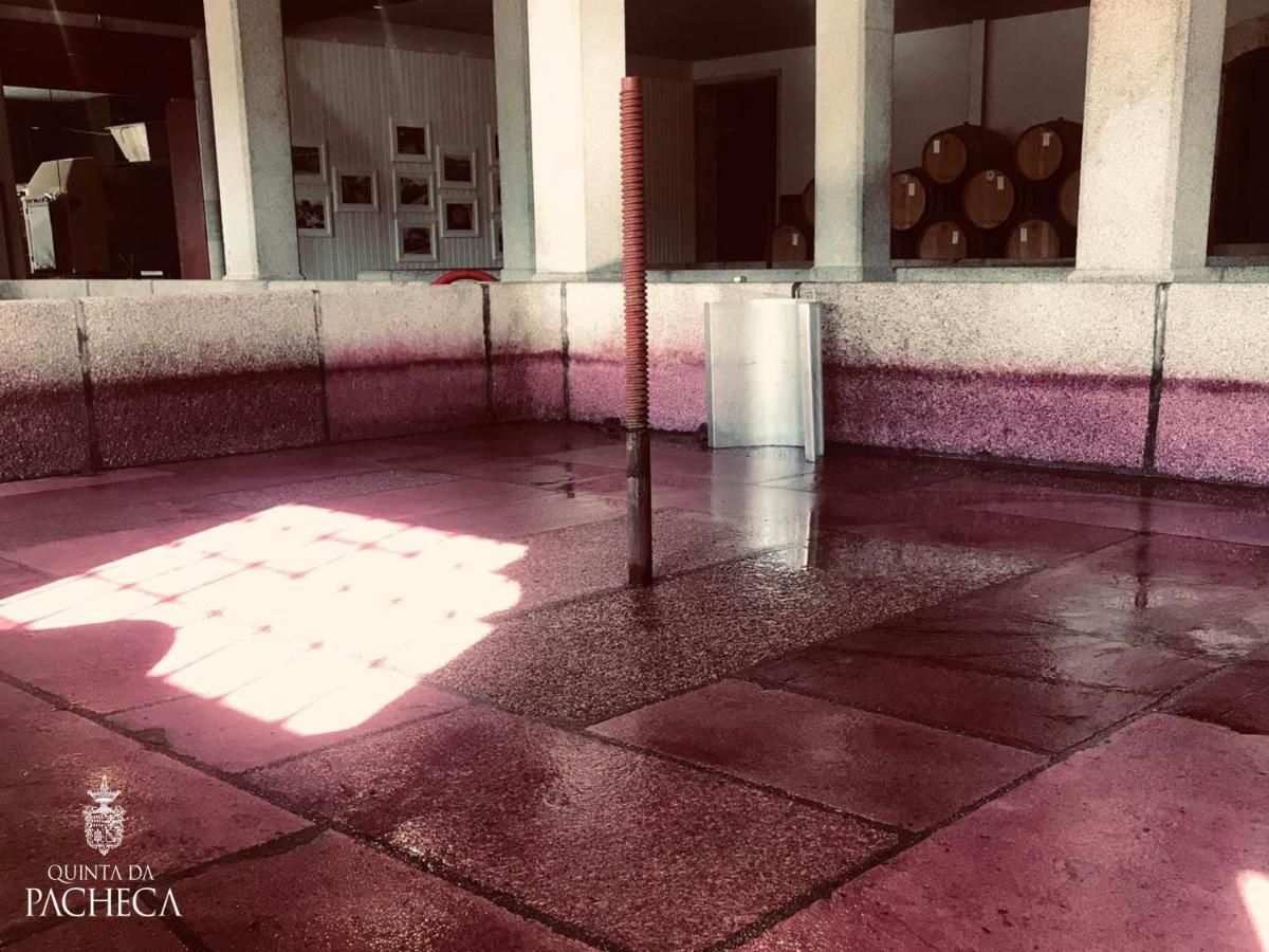 Imagem da galeria de Pacheca The Wine House Hotel e Spa - Quinta da Pacheca em Lamego