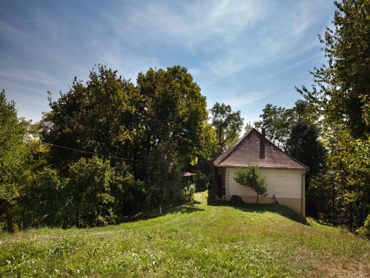 Kurija Inn - Housity