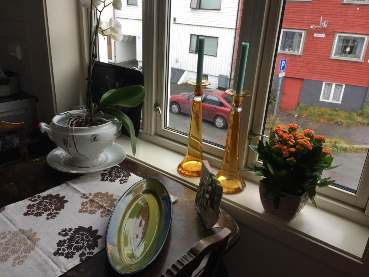 Homestay in Tromso - Housity