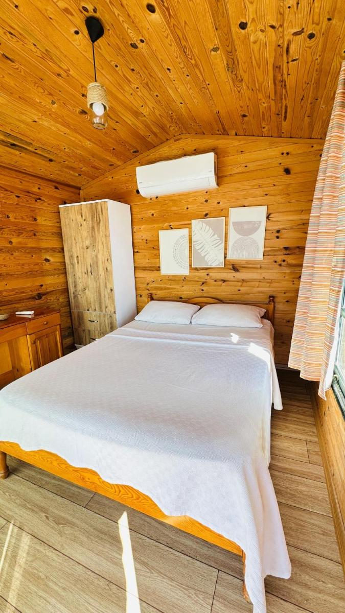 Fullmoon Camp - Housity