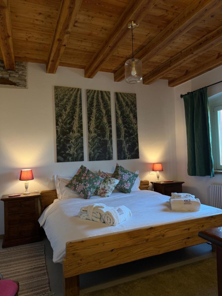 AGRITURISMO MODOLO Belluno Dolomiti - Housity