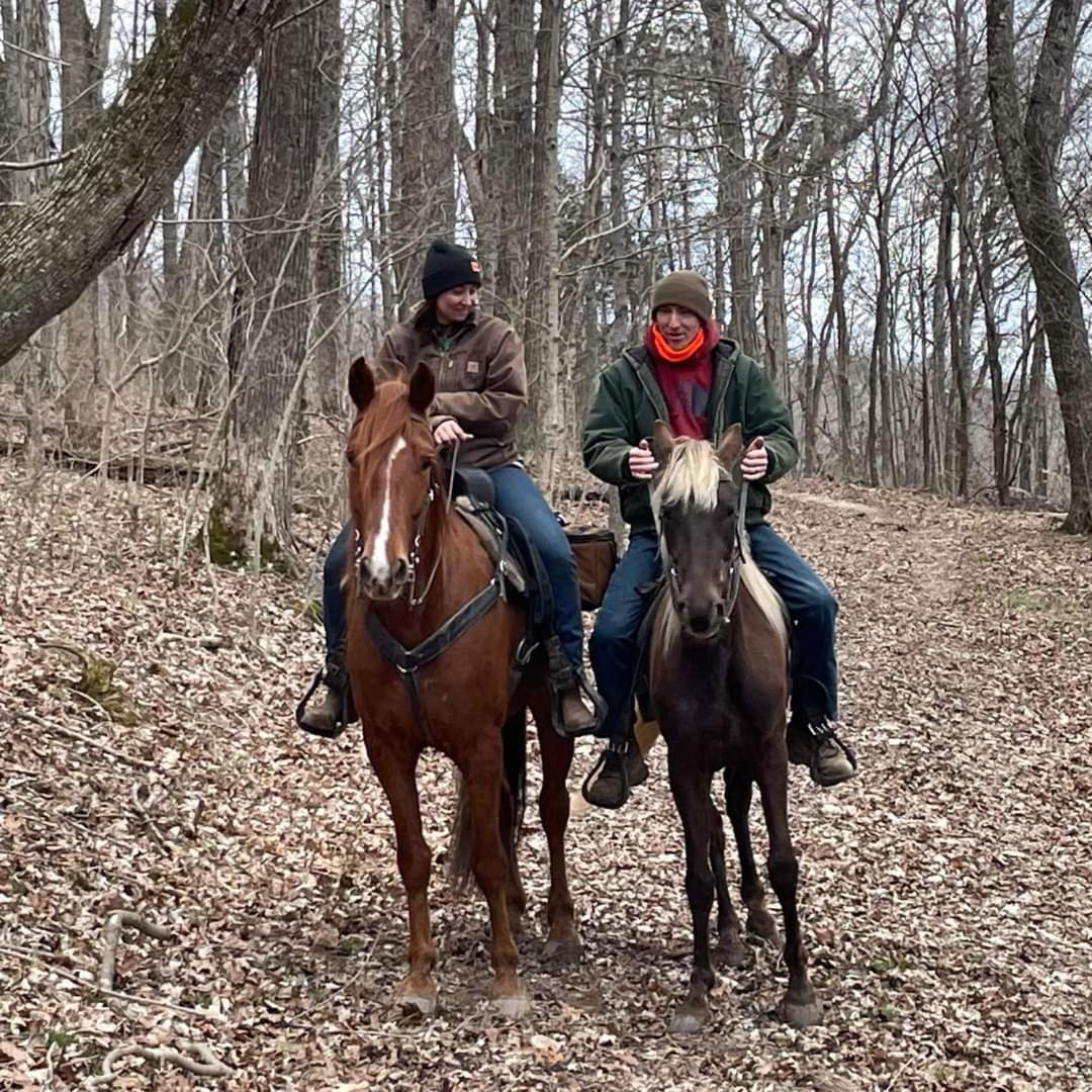 The Hampton - An Amish Built Deluxe Log Cabin - Housity