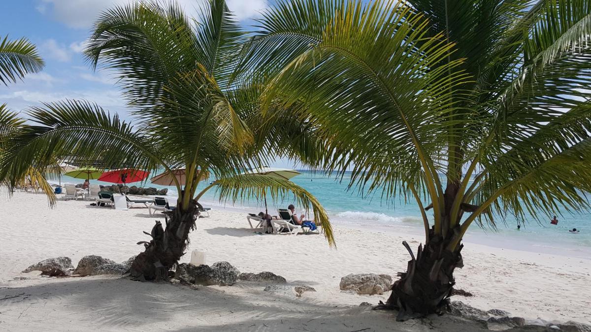 Worthing Beach Apartments - Housity