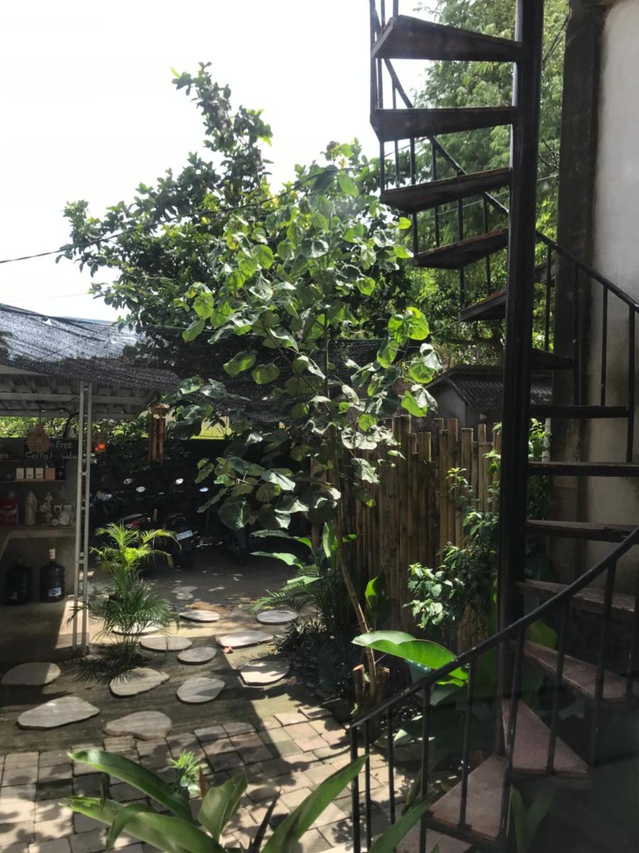 sunshine Homestay - Housity