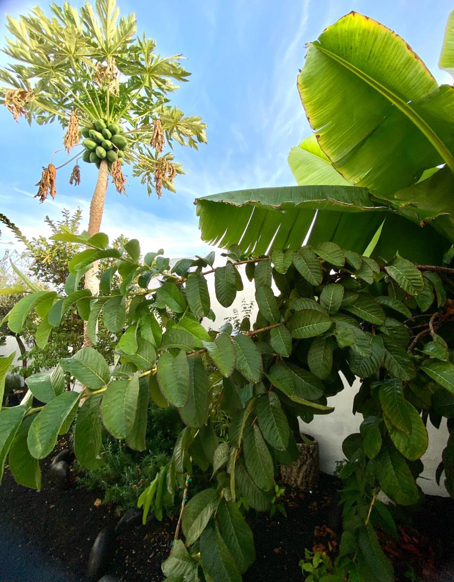 Paisaje Lunar - Housity