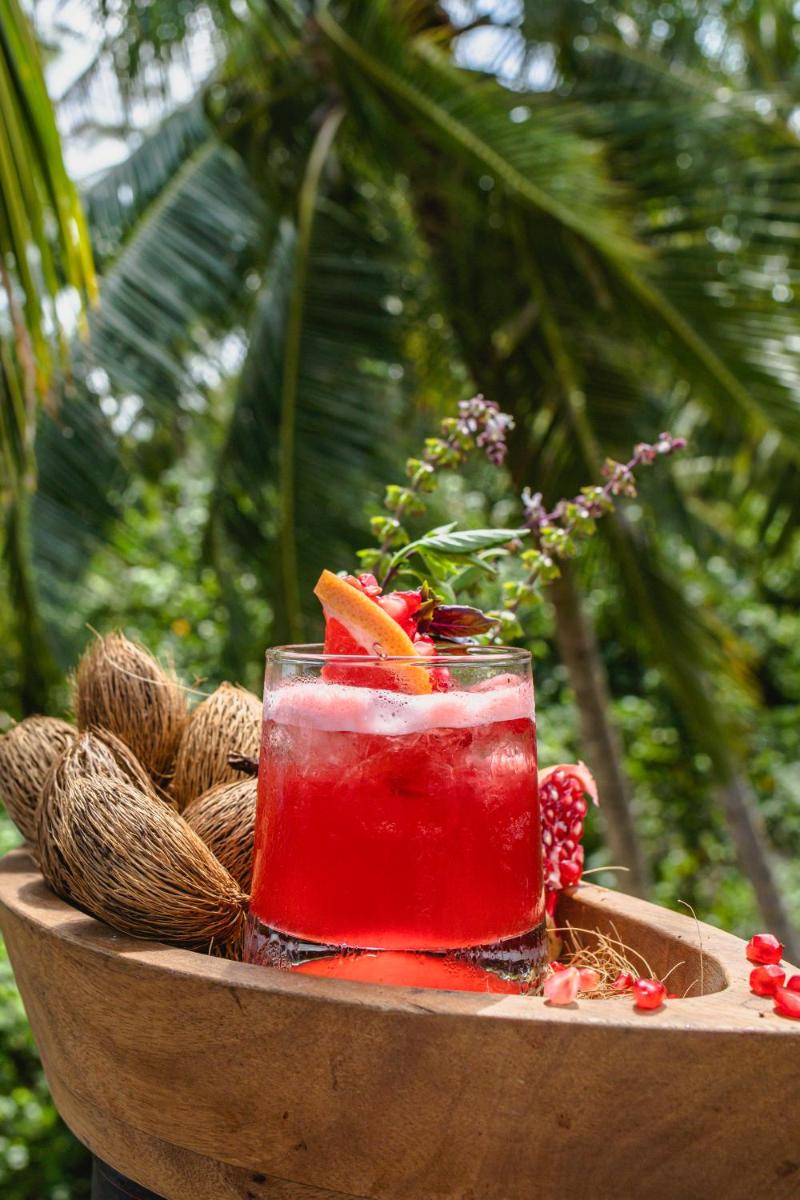 Soneva Fushi - Housity