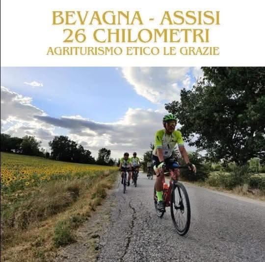 Agriturismo Etico Le Grazie - Housity