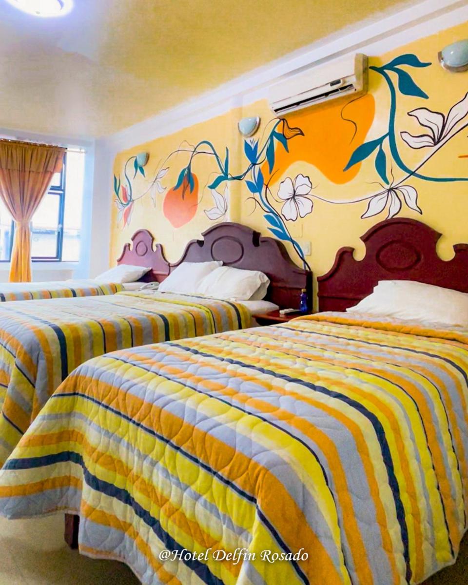 Hotel Delfin Rosado - Housity