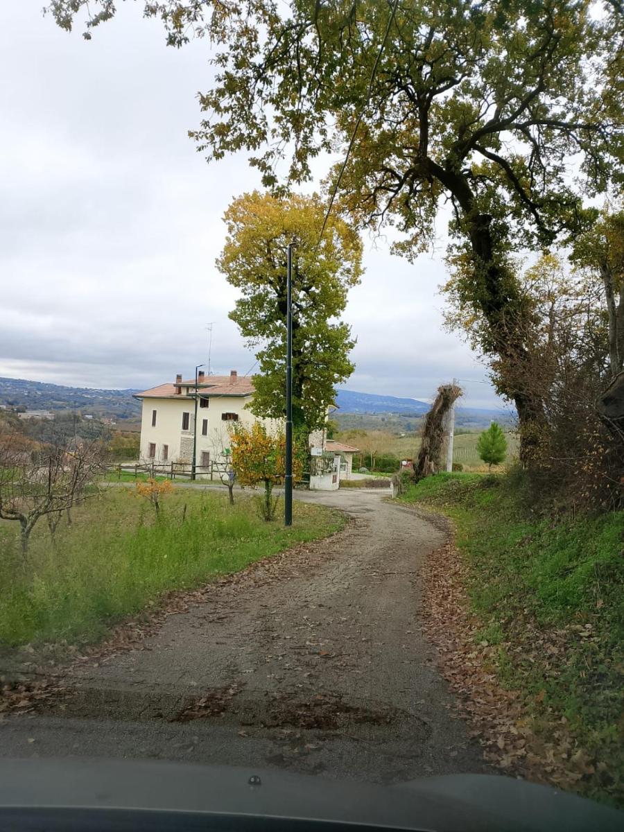 Agriturismo Casale 1921 - Housity