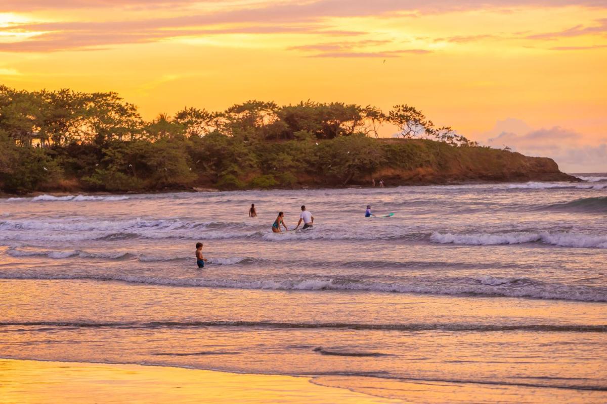 The Coast Beachfront Hotel - Housity