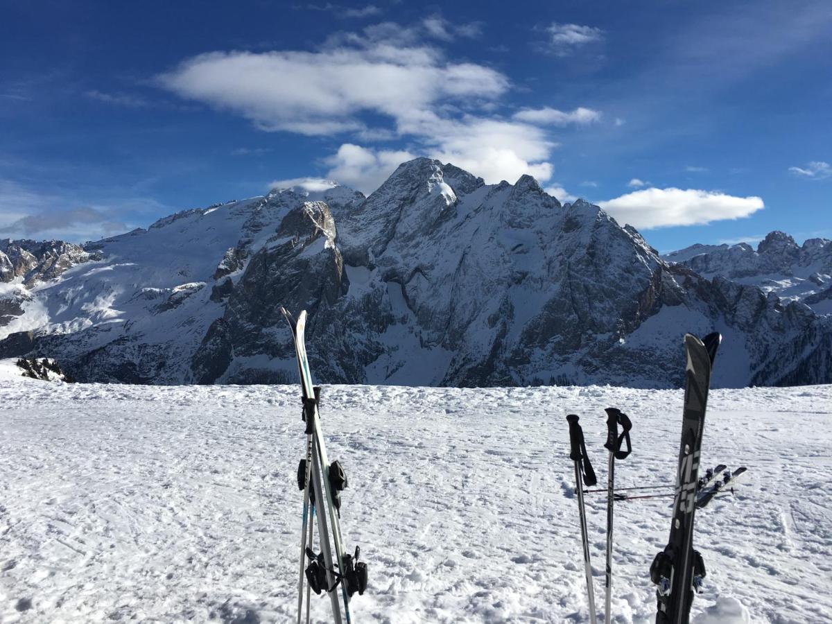 Appartamenti Chalet Orchidea - Housity