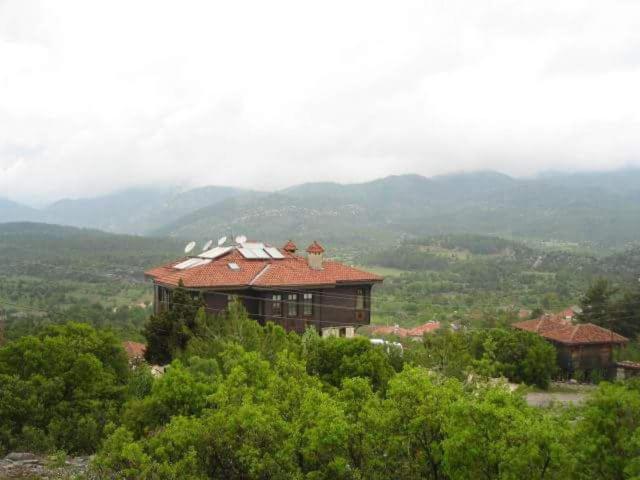 Ali Paşa Konağı - Housity