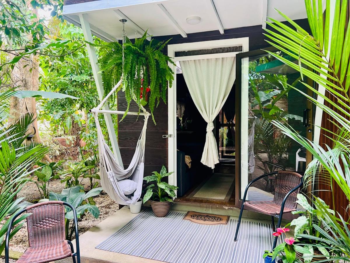 Guest House Pura Vida - Housity