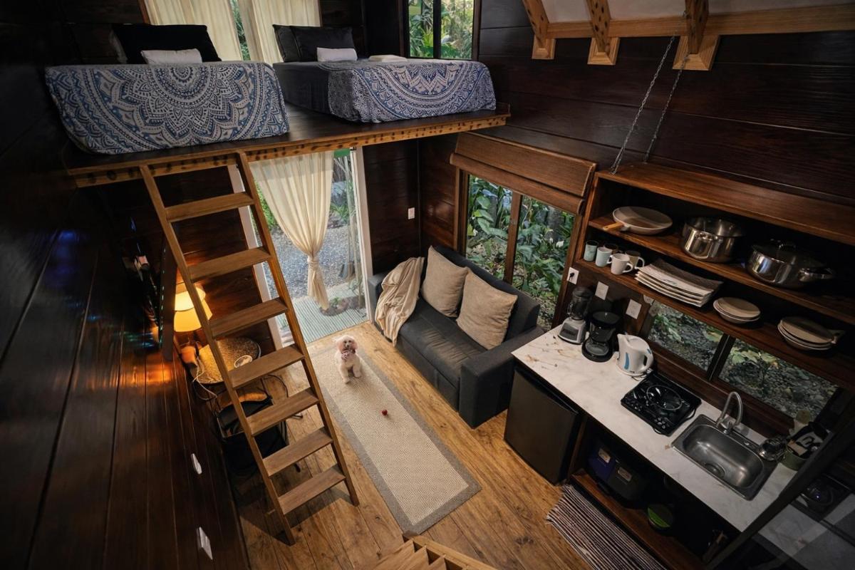 Guest House Pura Vida - Housity