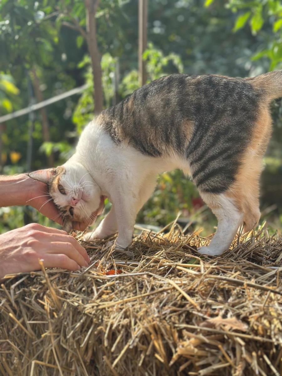 Corte di Maggio B&B - Housity