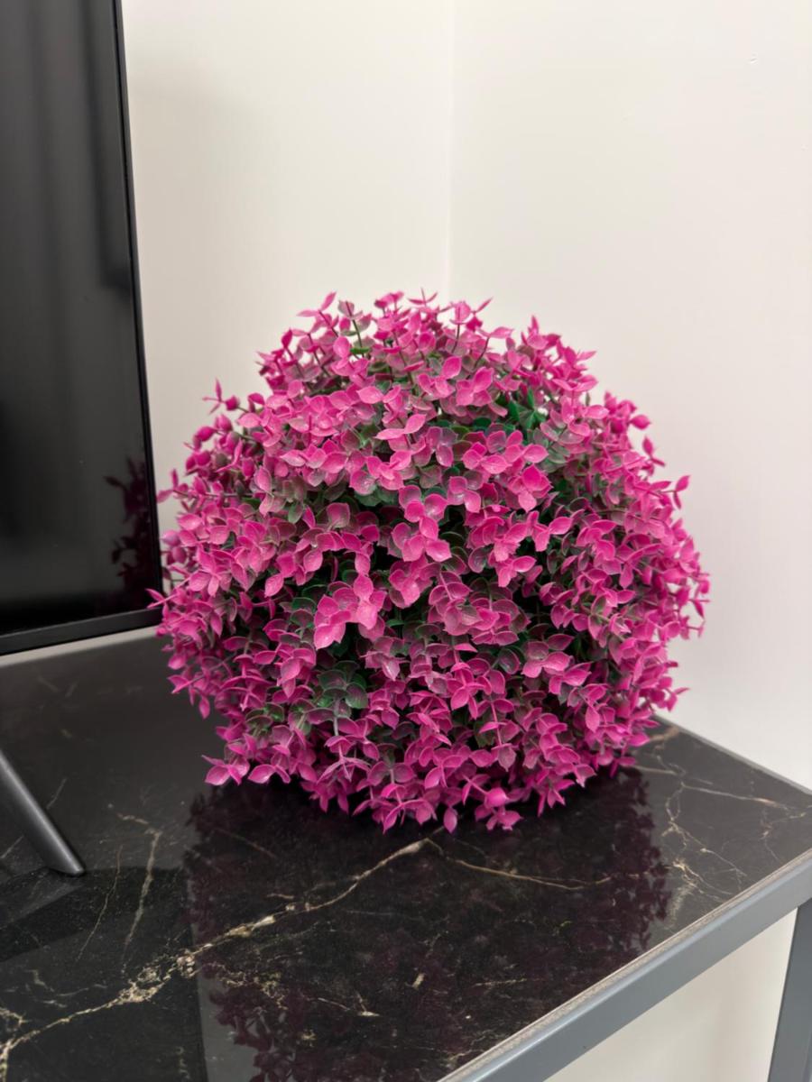 Vi Luxury Room - Housity