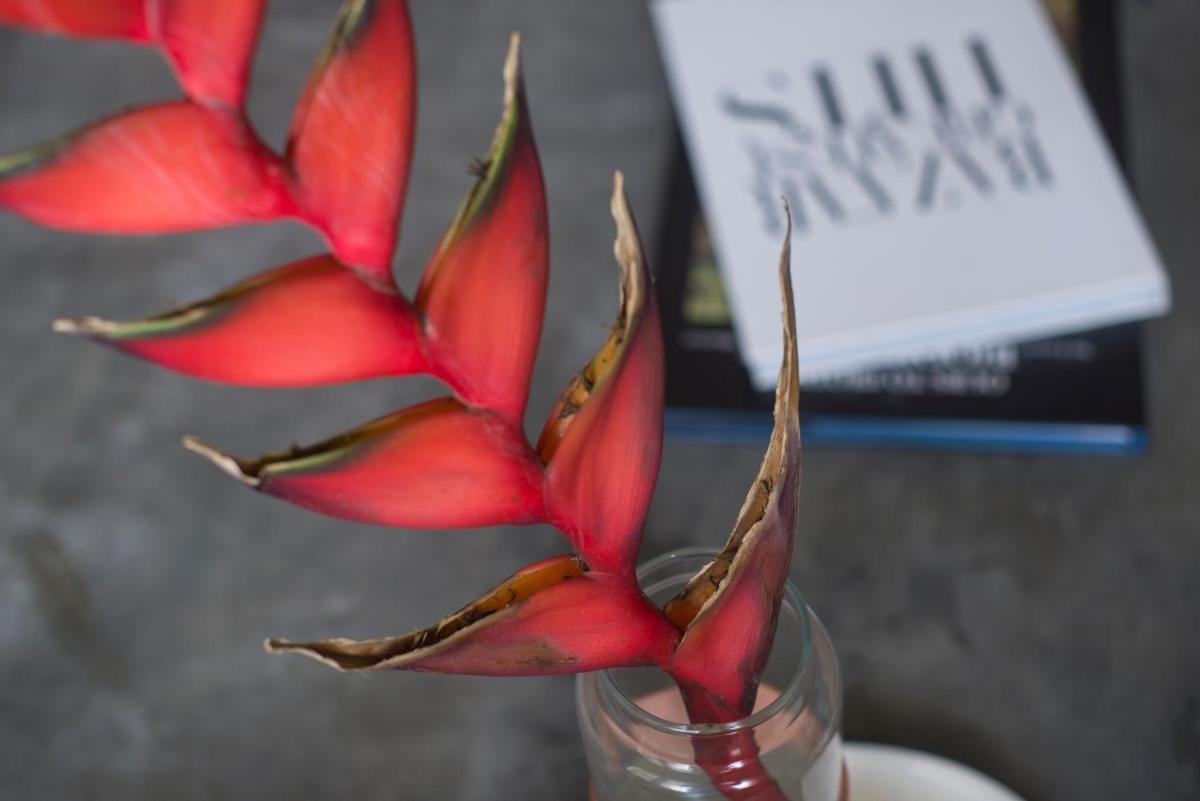 Luxe320 - Housity