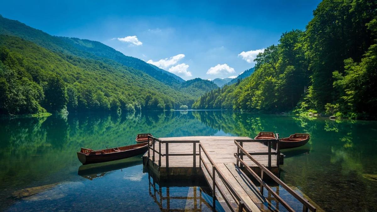 Field Apartments and SPA Kolasin - Housity