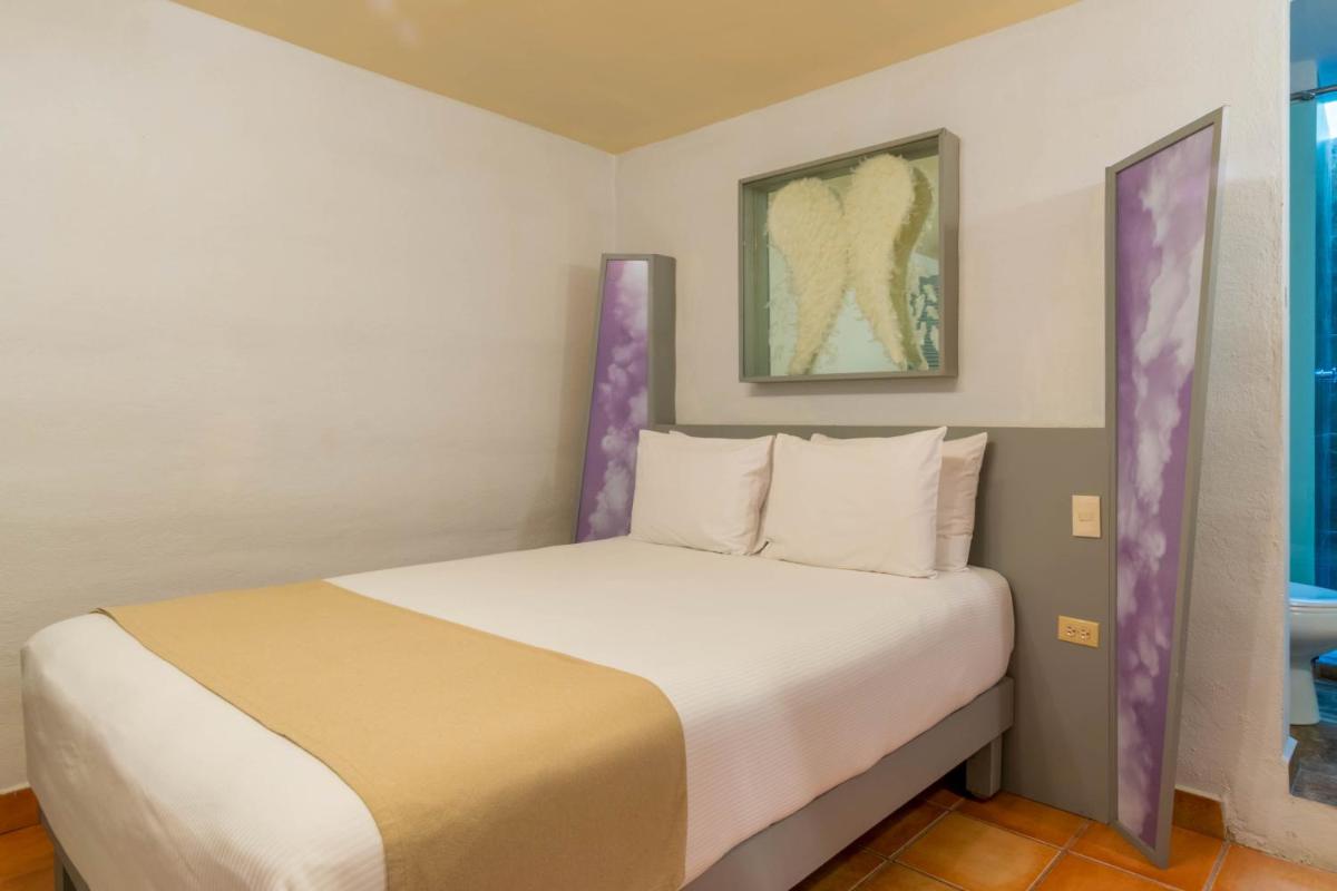 Hotel Damiana Boutique - Housity