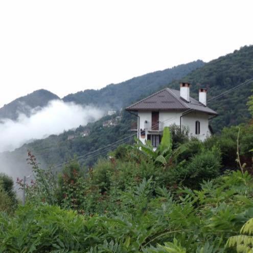 B&B La Locanda del Cinghiale - Housity