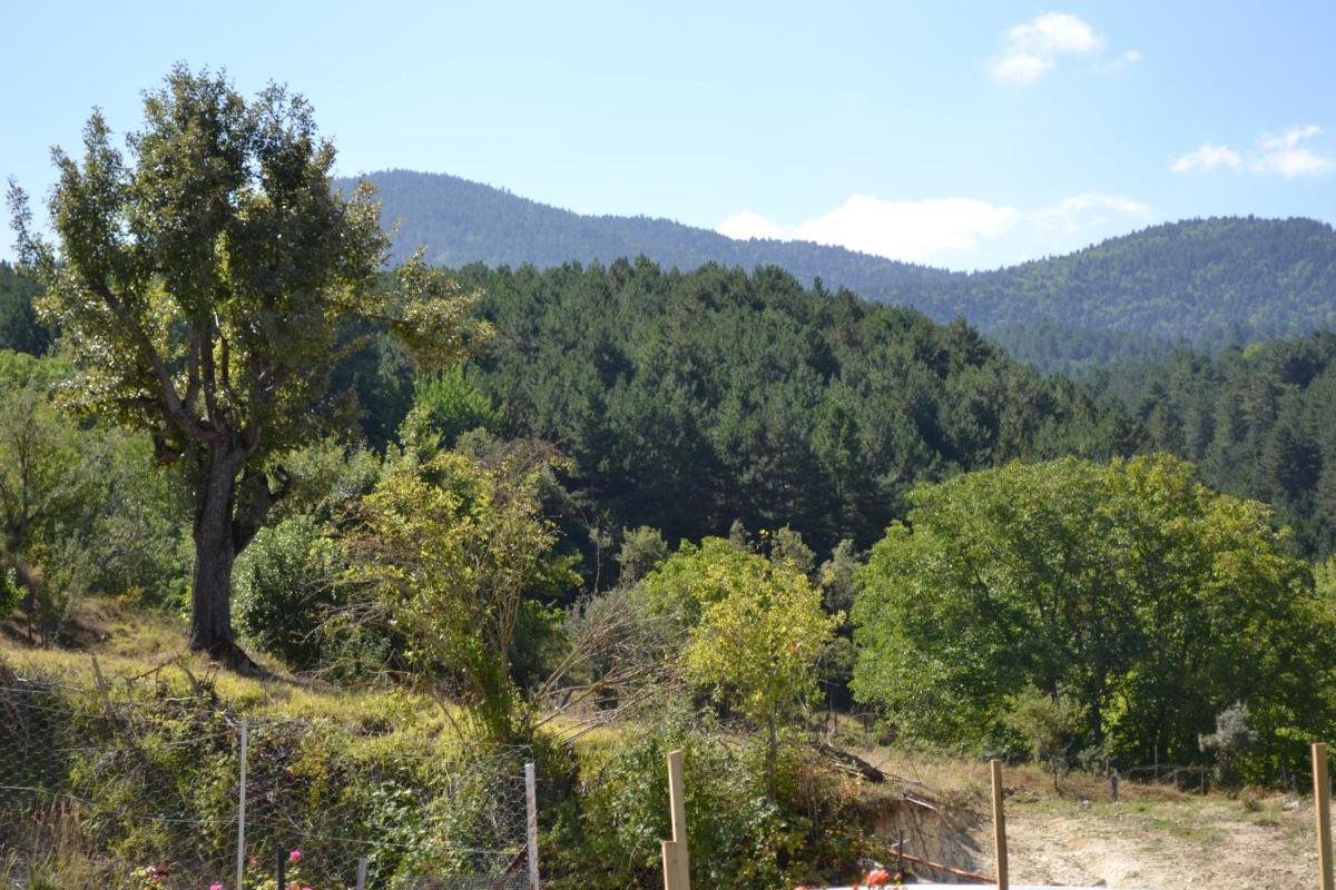 Villa Kartalkaya - Housity