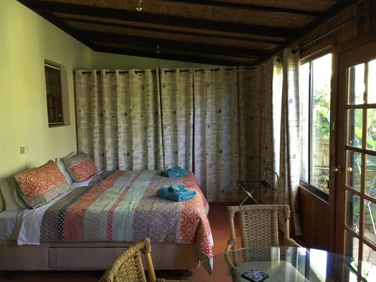 Kentia Palms - Housity