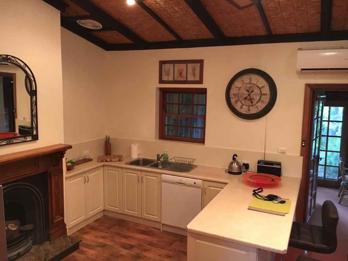 Kentia Palms - Housity