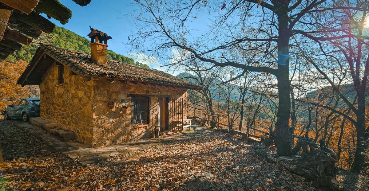 Cabaña Castañarejo - Housity
