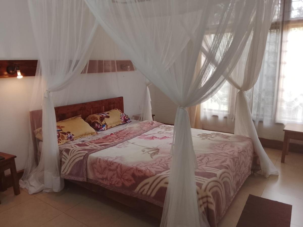 Avocado Lodge - Housity