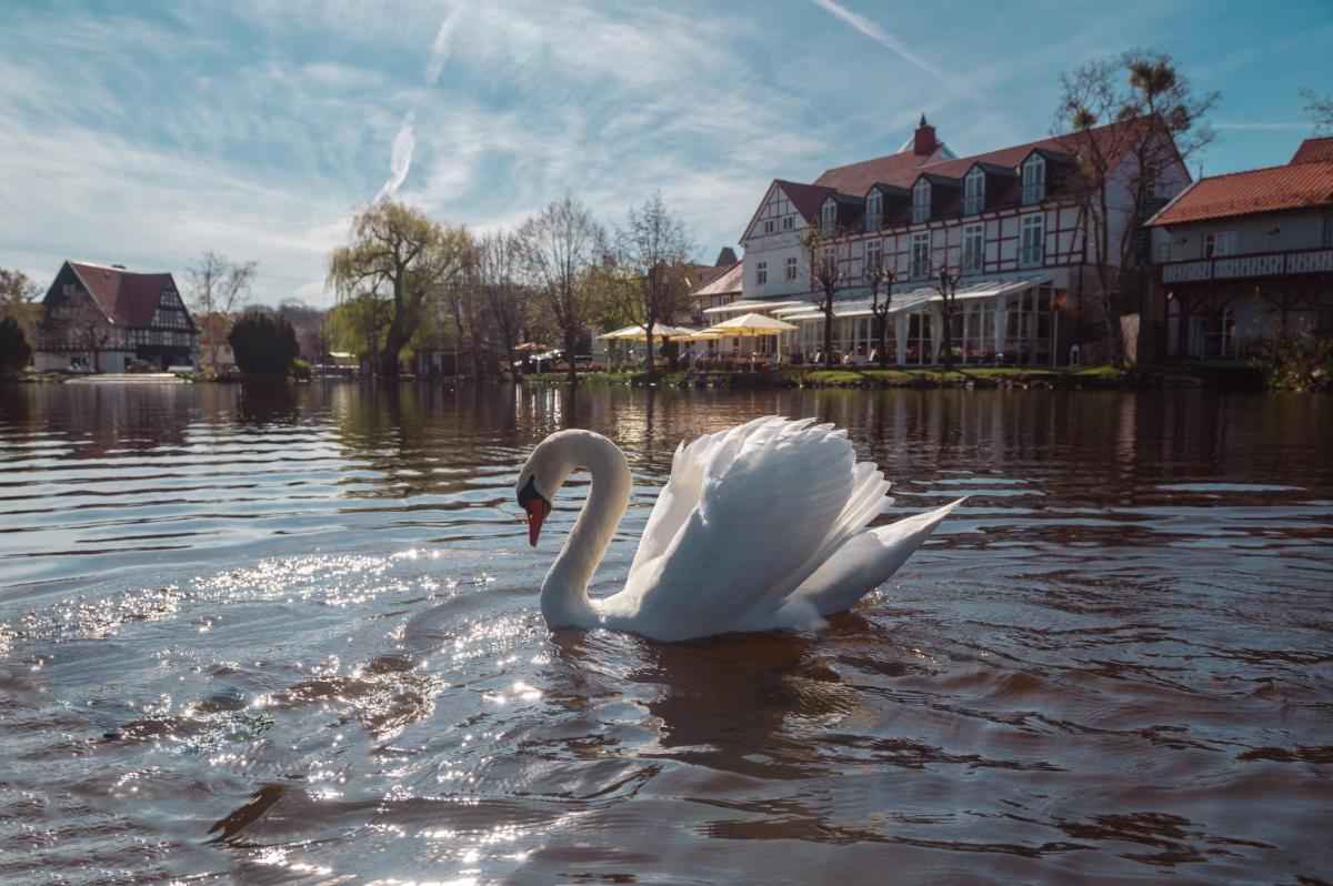 Blick auf einen Fluss in der Nähe des Hotels