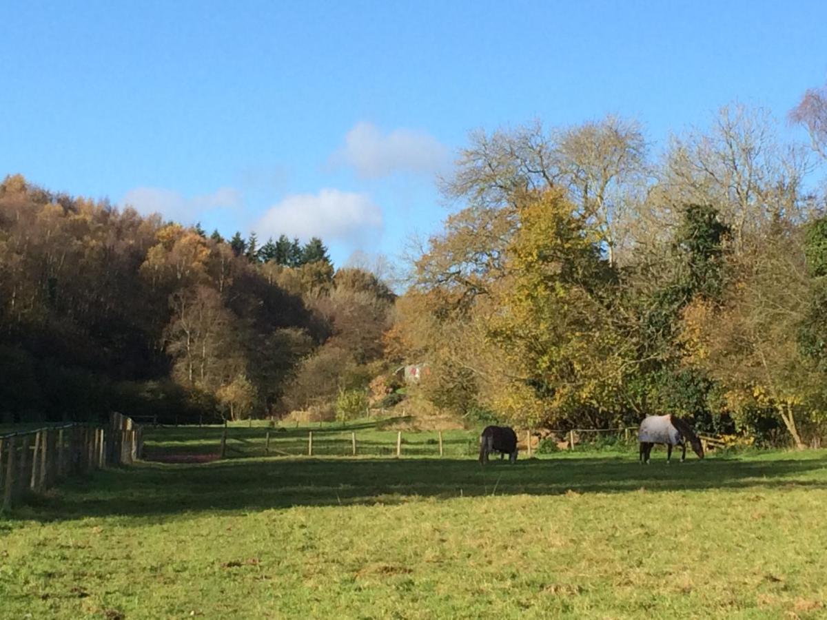 Woodmill Farm Apartment - Housity