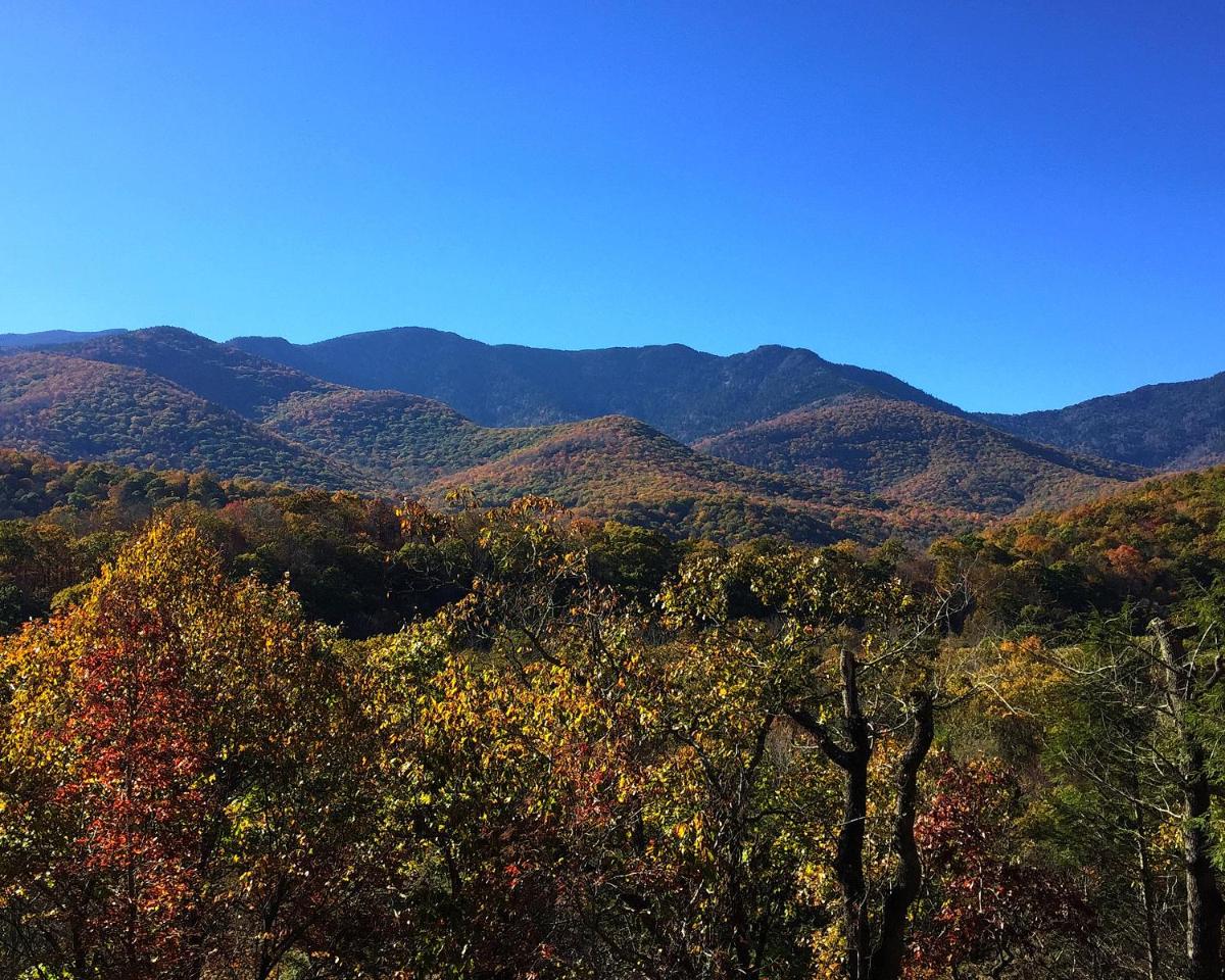 Mt Mitchell Cabin Rentals - Housity