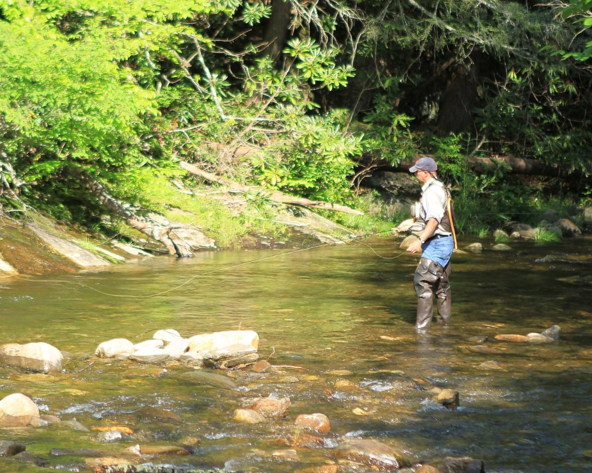 Mt Mitchell Cabin Rentals - Housity