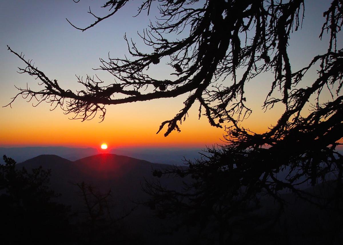 Mt Mitchell Cabin Rentals - Housity