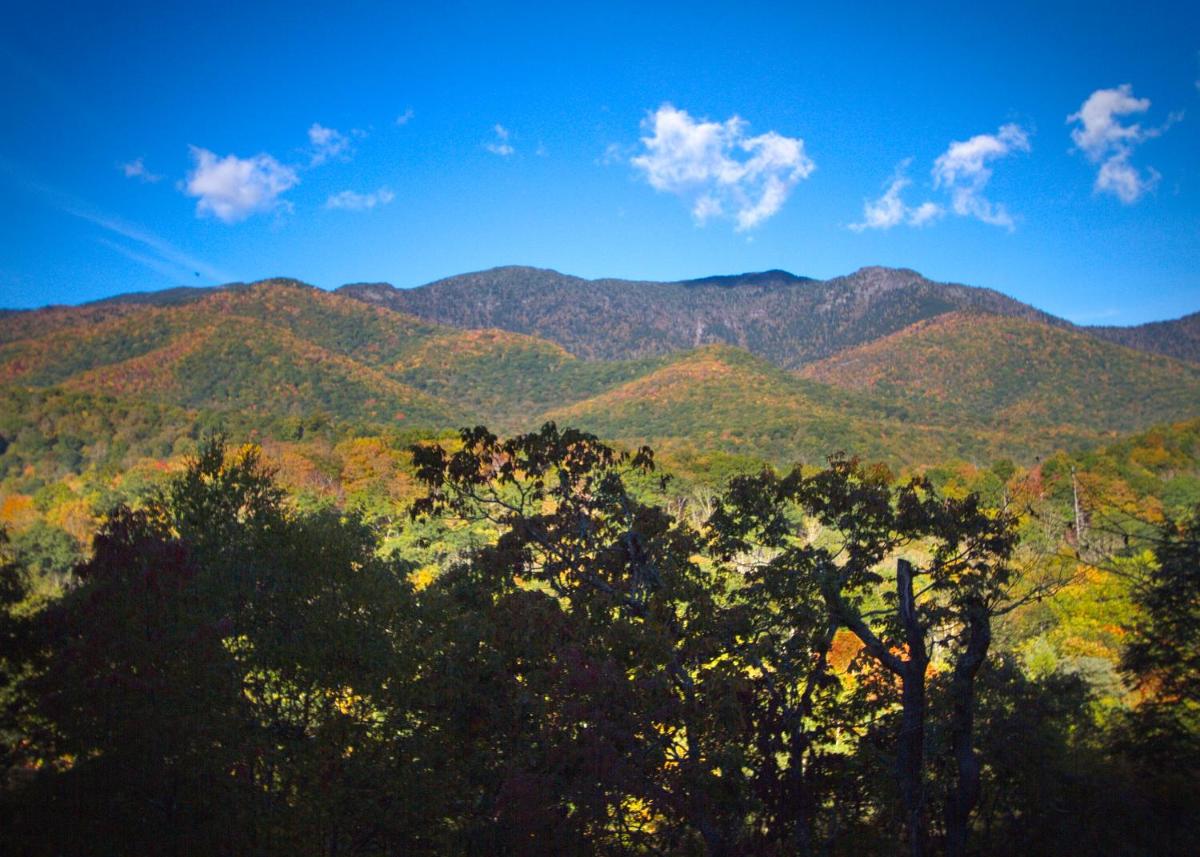 Mt Mitchell Cabin Rentals - Housity