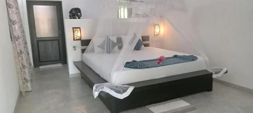 Seagulls Garden Cabanas - Housity