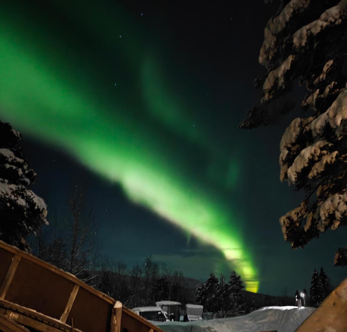 Guesthouse Pekkala - Housity