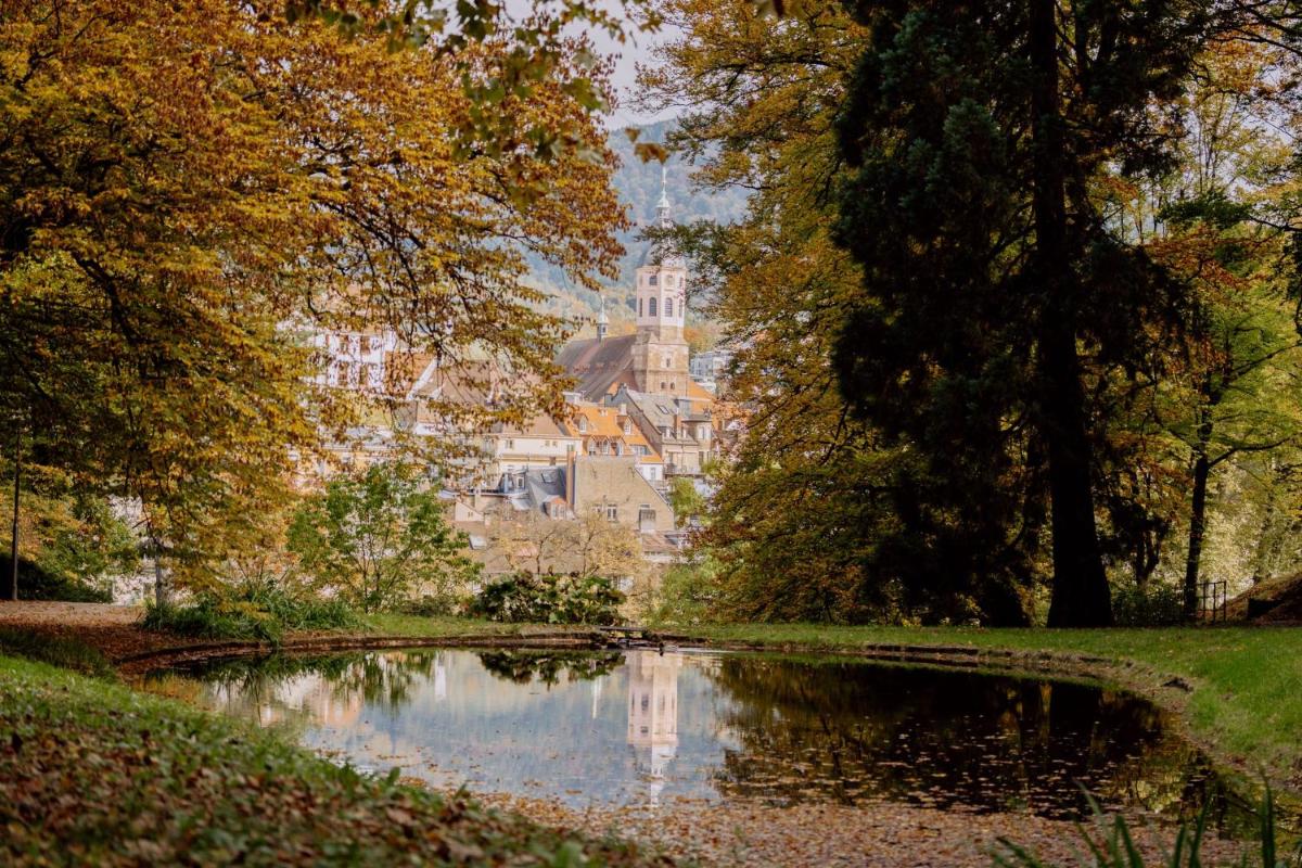 Naturlandschaft in der Nähe des Hotels